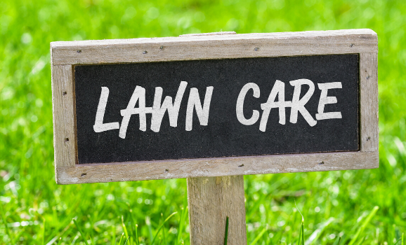How To Achieve A Perfect Lawn