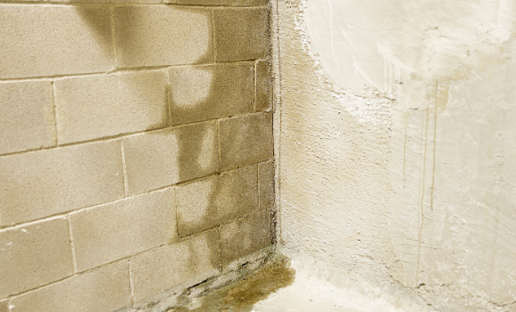 5 Things You Can Do To Keep Your Basement Dry