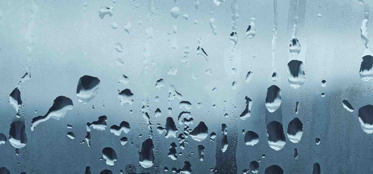How Do You Stop Window Condensation?