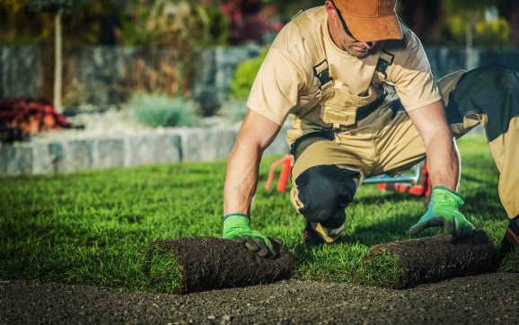 5 Questions A Professional Landscaper Should Be Able To Answer
