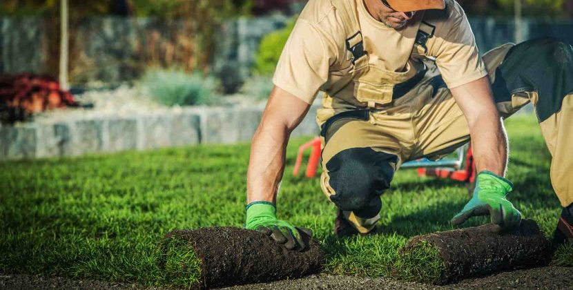 5 Questions A Professional Landscaper Should Be Able To Answer