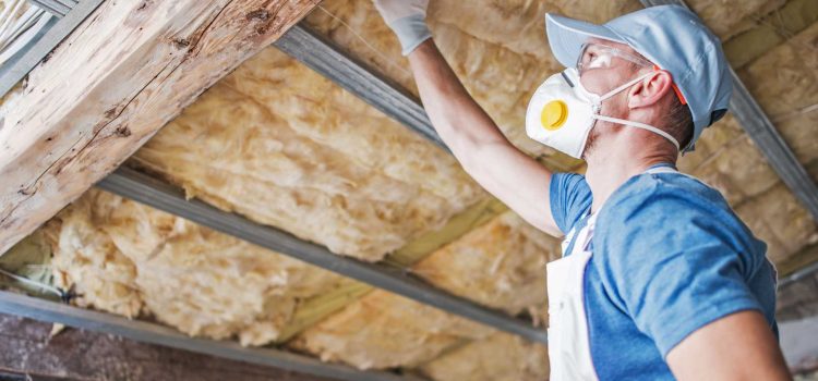 Insulation 101: What Every Homeowner Should Know