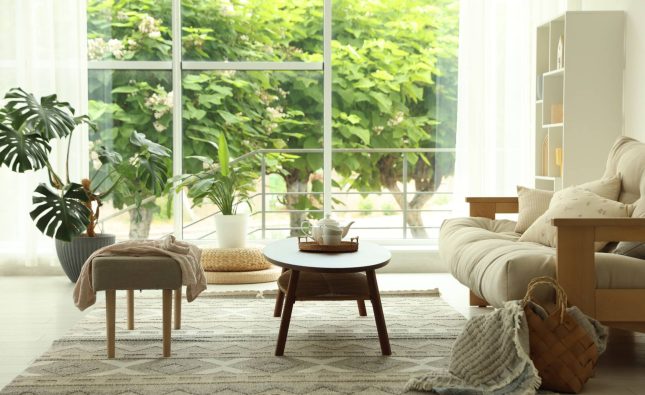 Cool Roofs and Cozy Rooms: The Perfect Energy-Efficient Pair